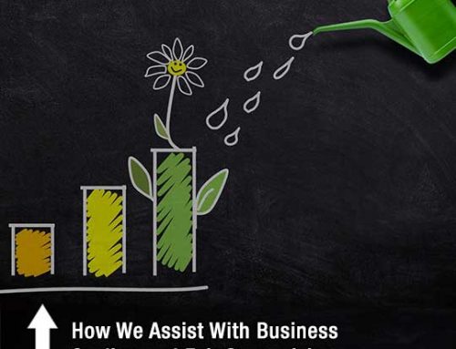 How We Assist With Business Scaling and Exit Strategizing